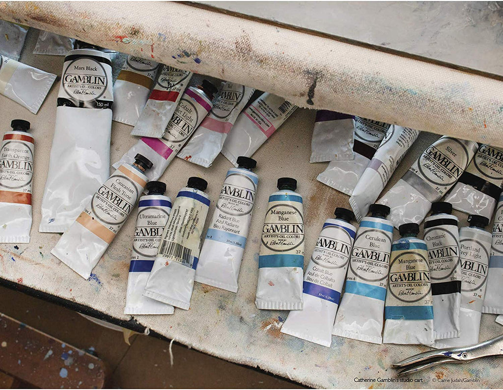 Gamblin Artist Oil Color Paint - Professional Curated Collection of 24 –  Pete's Arts, Crafts and Sewing